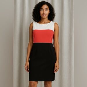 Black Label by Evan-Picone Colorblock Sheath Dress Plus Size 18